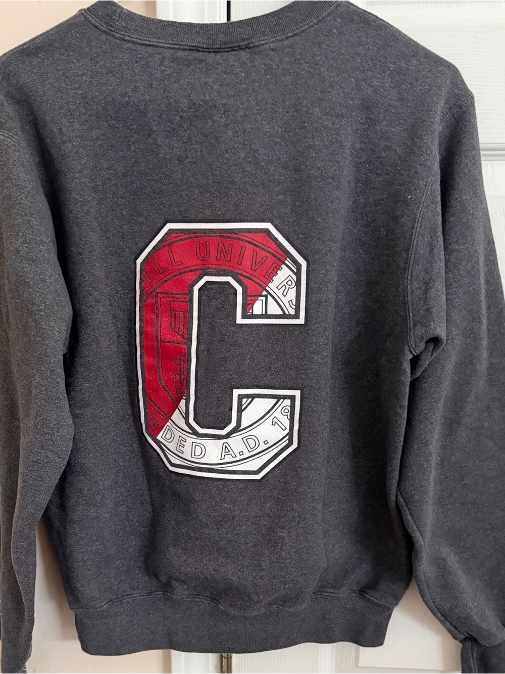 Vintage Cornell University Founded AD 1865 Adult Unisex Small Gray Sweatshirt - Picture 3 of 5